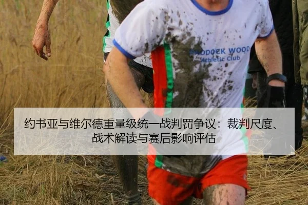 约书亚与维尔德重量级统一战判罚争议：裁判尺度、战术解读与赛后影响评估